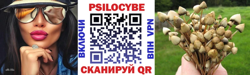 Галлюциногенные грибы мухоморы  Владивосток 