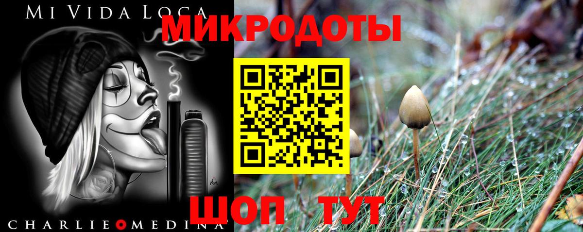 Галлюциногенные грибы Cubensis Владивосток