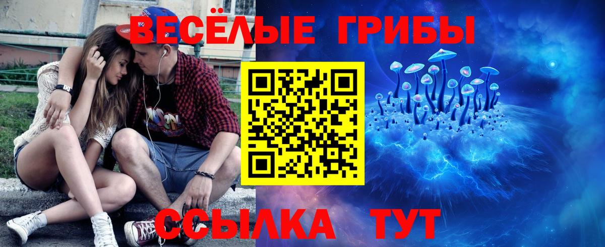 как найти закладки  Галлюциногенные грибы прущие грибы  Вход с VPN  Владивосток  Галлюциногенные грибы ЛСД 