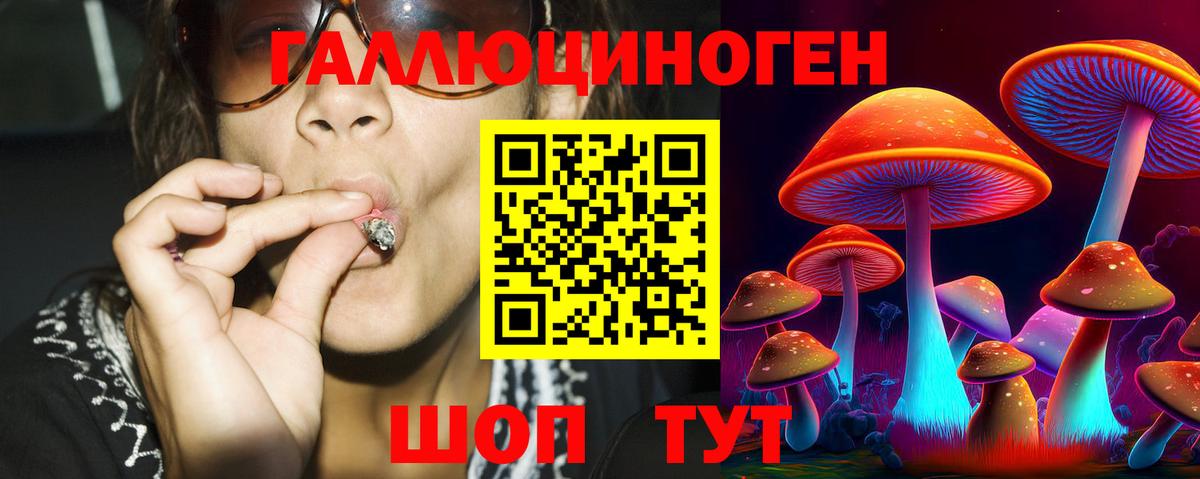 Псилоцибиновые грибы MAGIC MUSHROOMS  Вход с VPN  Владивосток 