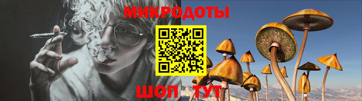 Псилоцибиновые грибы GOLDEN TEACHER  Владивосток  Галлюциногенные грибы прущие грибы 